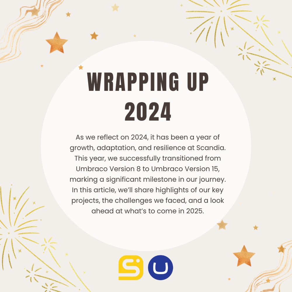 Image related to the content of the blog article title Wrapping Up 2024: Reflecting on Our Projects, Challenges, and What’s Next
